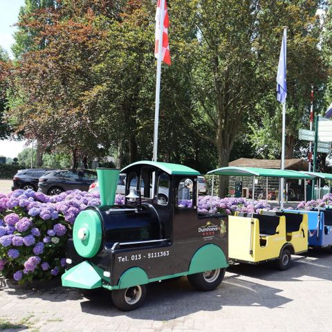 Recreatiepark Duinhoeve - Camping Tilburg - Image N°4