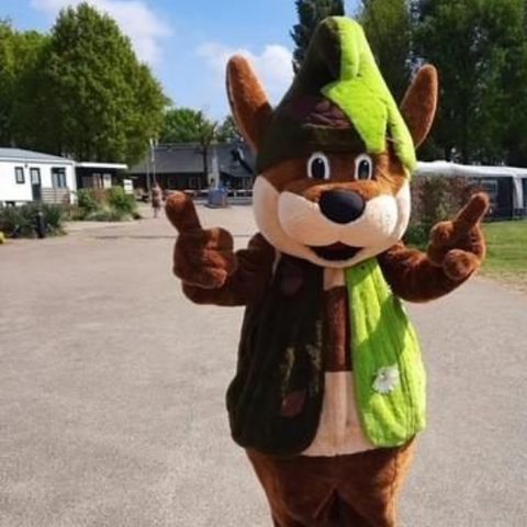 Recreatiepark Duinhoeve - Camping Tilburg - Image N°3