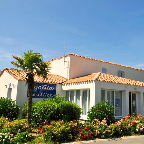 Résidence Goélia La Palmeraie - Camping Charente-Maritime - Image N°3
