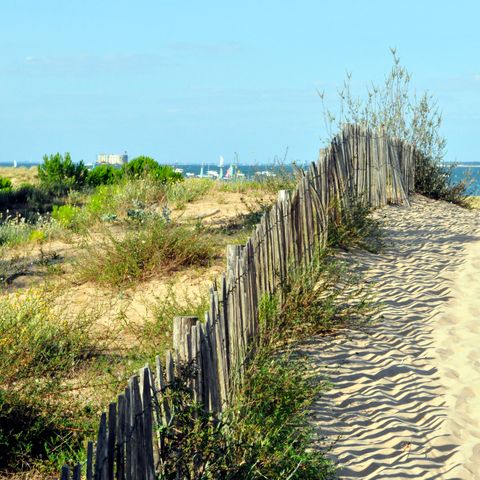 Résidence Goélia La Palmeraie - Camping Charente-Maritime - Image N°2