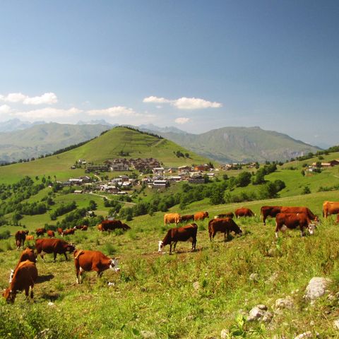 Résidence Goélia Le Relais des Pistes - Camping Savoie - Image N°3