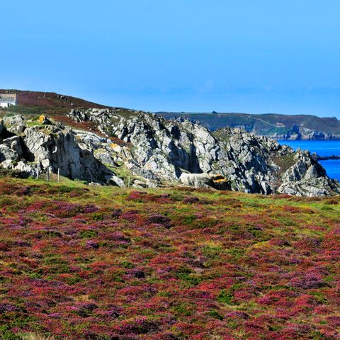 Résidence Goélia - An Douar - Camping Finistère - Image N°5