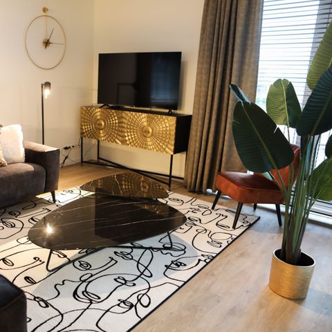 APPARTEMENT 8 personnes - Kamperland - Luxe 2