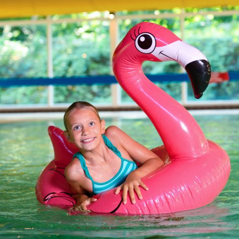 Walibi Village - Camping Dronten - Image N°6