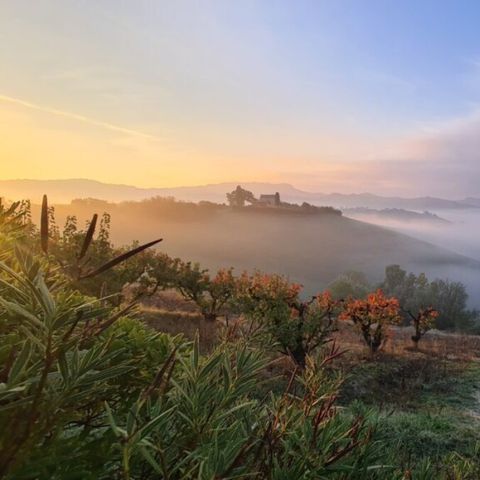 Vodatent Agricola la Casetta - Camping Ascoli Piceno - Image N°6