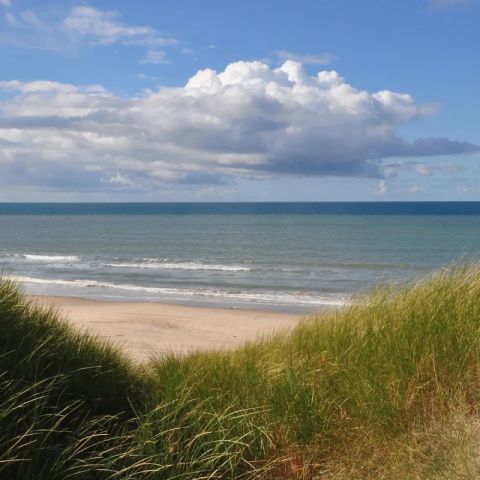 Vodatent Tornby Strand Camping - Camping North Jutland - Image N°3