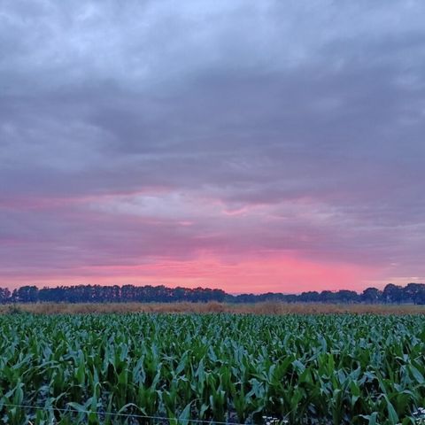 Vodatent Boerderijcamping het Katreel - Camping Haaksbergen - Image N°6