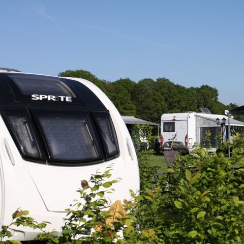 Vodatent Boerderijcamping het Katreel - Camping Haaksbergen - Image N°3