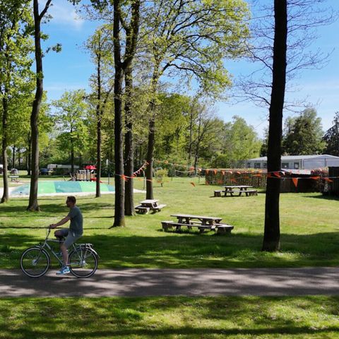 Vodatent Park Drentheland - Camping Westerveld - Image N°4