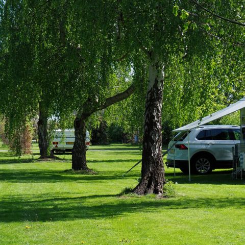 Vodatent Camping de Boerenzwaluw - Camping Hollands Kroon - Image N°6