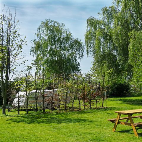 Vodatent Camping de Boerenzwaluw - Camping Hollands Kroon - Image N°4