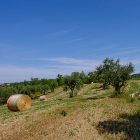 Vodatent Camping Mar y Sierra - Camping Pesaro-Urbino - Image N°3
