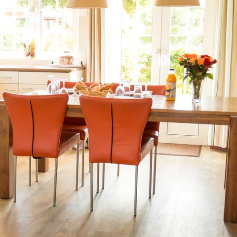 Bungalowparck Tulp & Zee - Camping Noordwijk - Image N°5