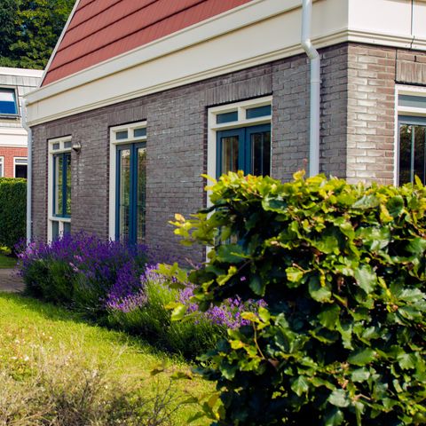 Bungalowparck Tulp & Zee - Camping Noordwijk - Image N°3