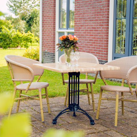 Bungalowparck Tulp & Zee - Camping Noordwijk - Image N°4