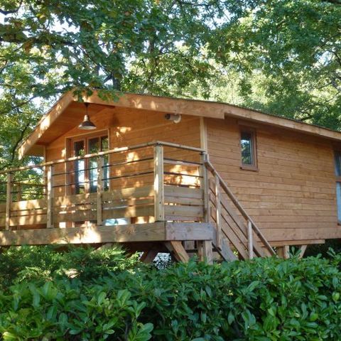 Camping le Ruisseau - Camping Pyrénées-Atlantiques - Image N°3