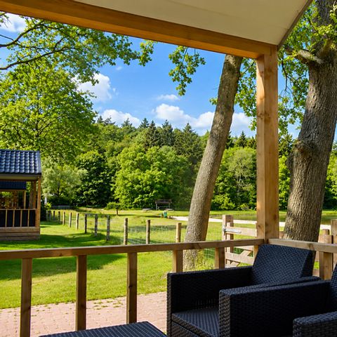 Camping 't Veld - Camping Hardenberg - Image N°5