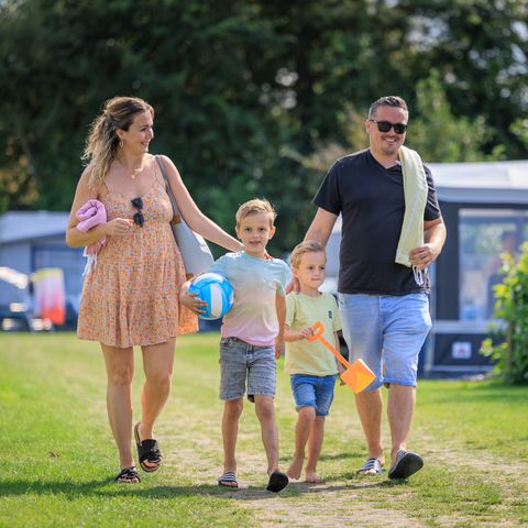 Camping Ginsterveld - Camping Schouwen-Duiveland - Image N°4