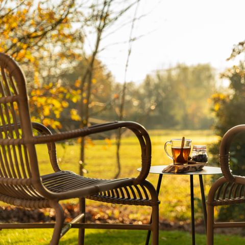 LODGE 2 personnes - Wellness Duynzicht