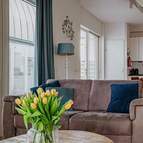 Appartement 3 personnes - Appartement dans les dunes avec terrasse ensoleillée