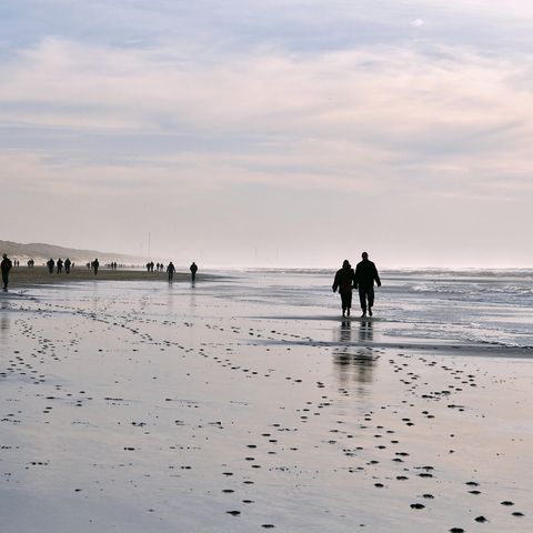 Waterhuisjes Egmond aan Zee - Camping Bergen - Image N°2