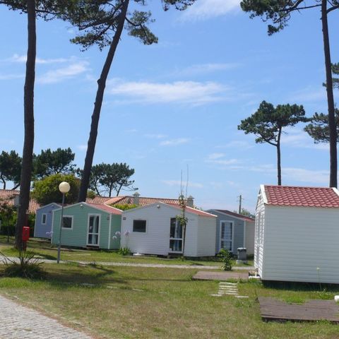 BUNGALOW 5 personnes - HAWAI - sans sanitaire
