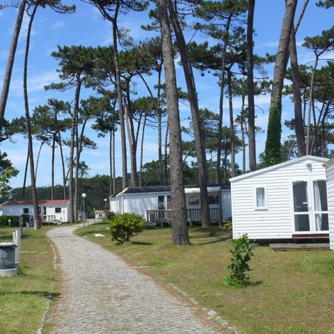 BUNGALOW 5 personnes - HAWAI - sans sanitaire