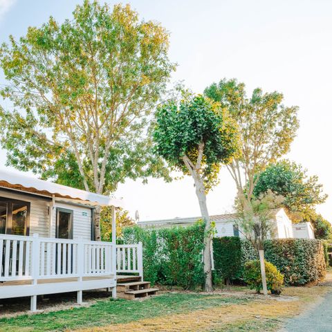 Mobilhome 6 personnes - Dimanche - SUNELIA - CONFORT - PLUS - 3 chambres - 35m² - Terrasse couverte