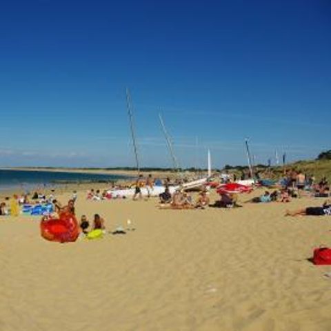 Camping Les Pérouses du Phare - Camping Charente-Maritime - Image N°3