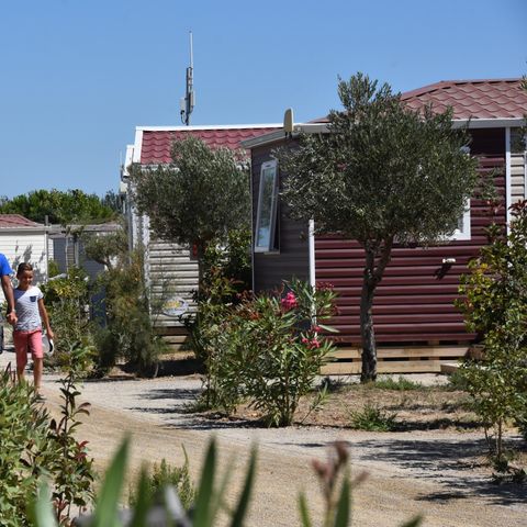 BUNGALOW 6 personnes - CLASSIC 3 chambres - D - non climatisé