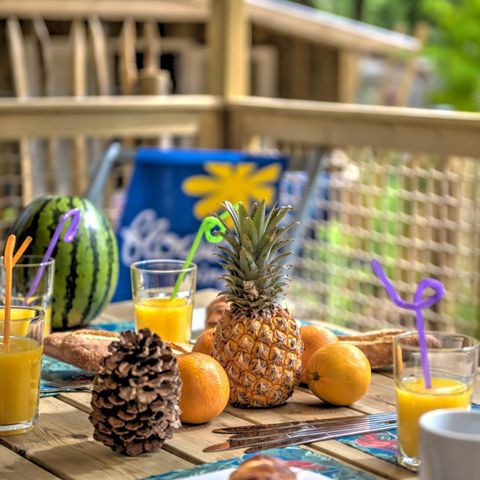 Lodge 5 personnes - Cosyflower - 2 chambres - -TV-plancha-terrasse couverte-28m² - CONFORT