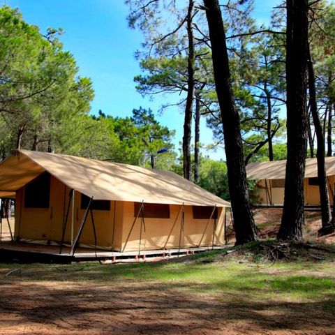 Tente en toile et en bois 4 personnes - Tente Toile & Bois, sans sanitaires