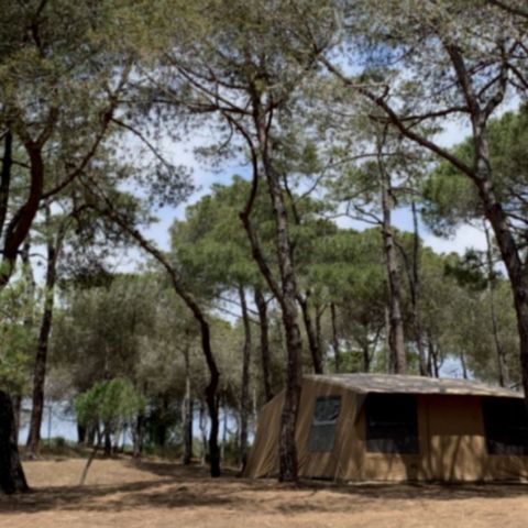 TENTE 4 personnes - Tente Escapade (sans sanitaires)