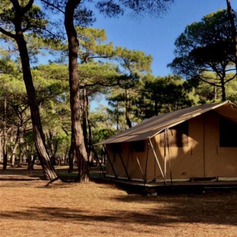 Tente en toile et en bois 4 personnes - Tente Toile & Bois, sans sanitaires