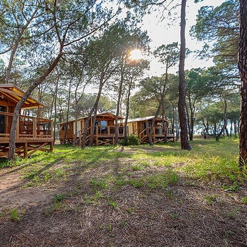 Camping La Tamarissière - Camping Hérault - Image N°4