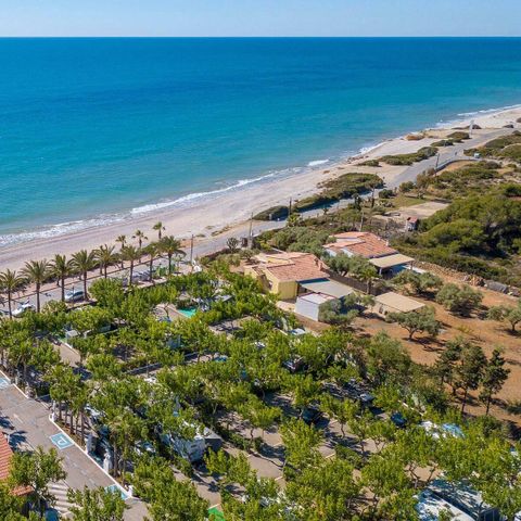 Camping Playa Tropicana - Camping Castellón - Image N°3