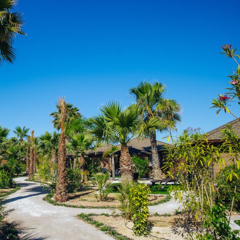 Camping Alannia Costa Blanca - Camping Alicante - Image N°3