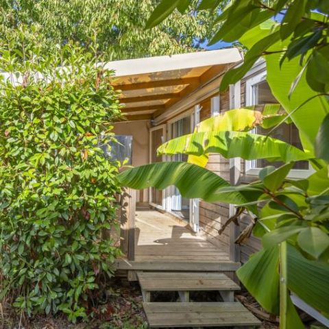 Mobilhome 2 personnes - Mobil-home mitoyen Standard 1 Chambre 2 Personnes