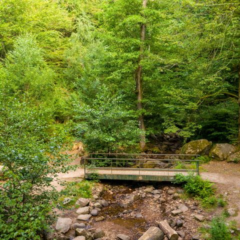 Camping d'Autun - Camping Saône-et-Loire - Image N°6