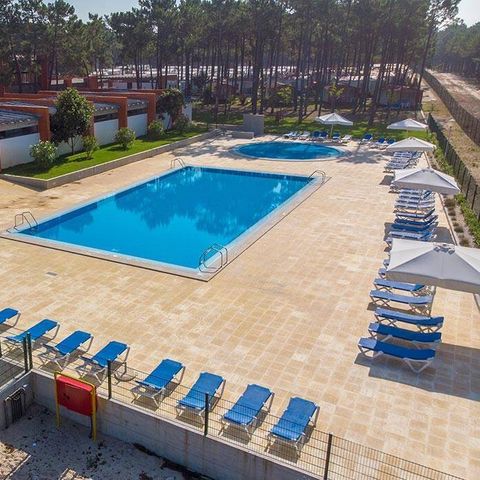 Camping Orbitur Vagueira - Camping Centre du Portugal - Image N°2