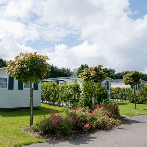 CHALET 5 personnes - Bevelander (chiens admis)