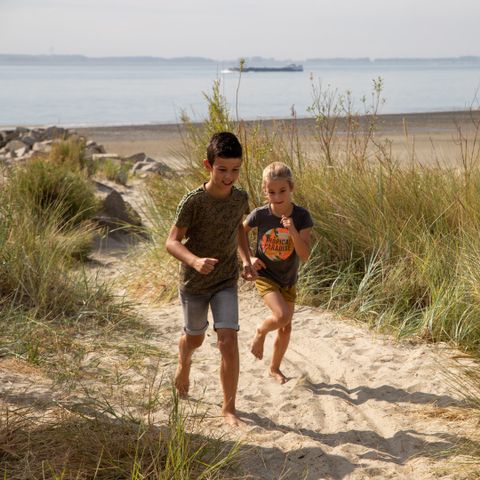 Camping Scheldeoord - Camping Borsele - Image N°3