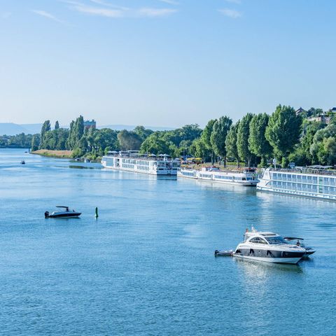 Camping L'Île du Rhin - Camping Haut-Rhin - Image N°3