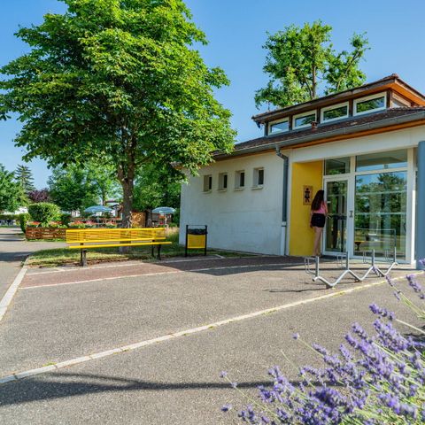Camping L'Île du Rhin - Camping Haut-Rhin - Image N°5