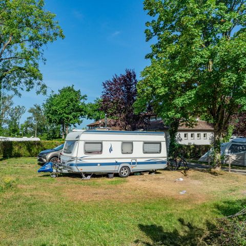 Camping L'Île du Rhin - Camping Haut-Rhin - Image N°4