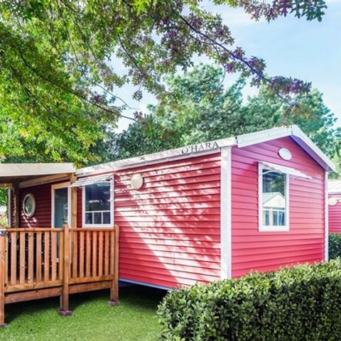 BUNGALOW 4 personnes - Comfort XL | 2 Ch. | 4 Pers. | Terrasse surélevée | TV