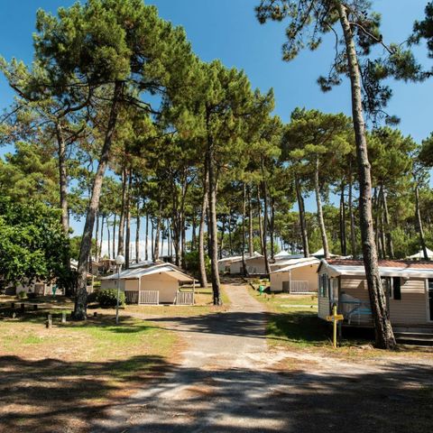 Mobilhome 6 personnes - Cottage Venezia Confort 3 chambres 6 personnes