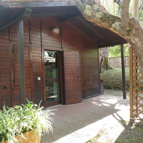 CHALET 4 personnes - CHALET 4 personnes