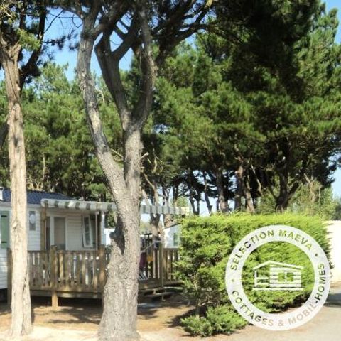 BUNGALOW 6 personnes - Passion