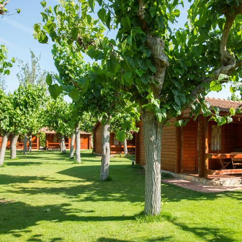 BUNGALOW 5 personnes - Mestral